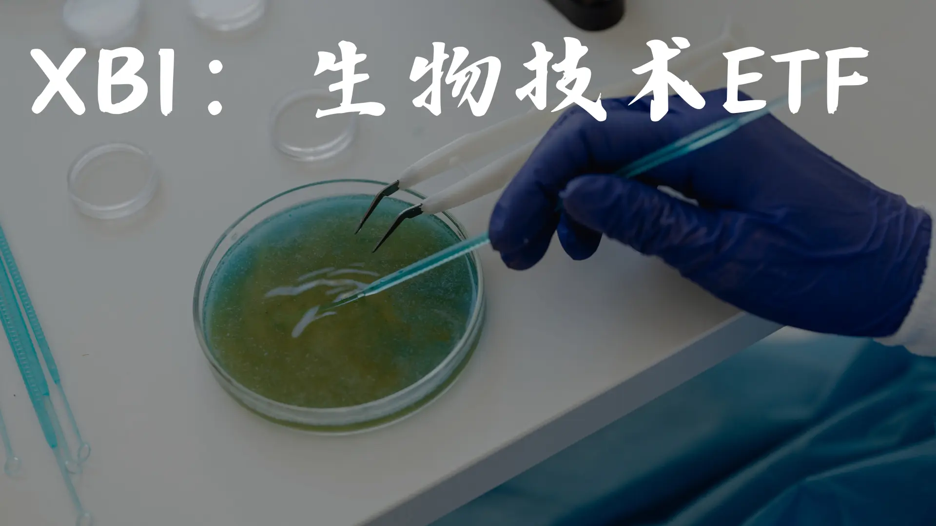 XBI：生物技术ETF投资还是投机？ - 美股百科